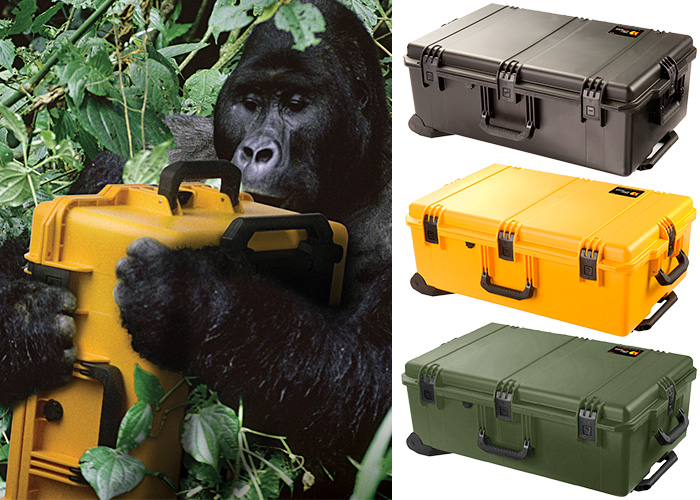 PELICAN STORM CASE iM2950